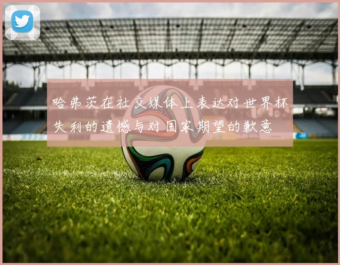 哈弗茨在社交媒体上表达对世界杯失利的遗憾与对国家期望的歉意