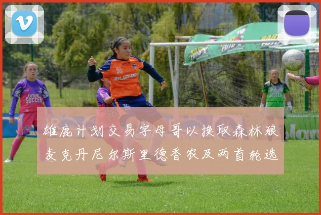 雄鹿计划交易字母哥以换取森林狼麦克丹尼尔斯里德香农及两首轮选秀权