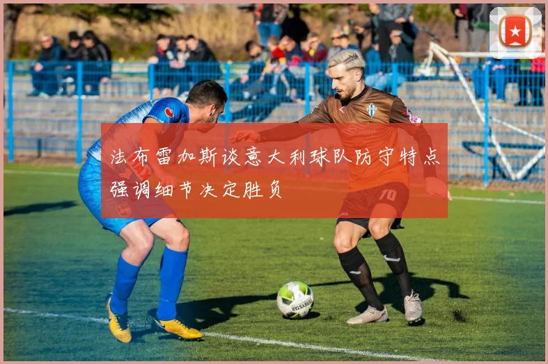 法布雷加斯谈意大利球队防守特点强调细节决定胜负