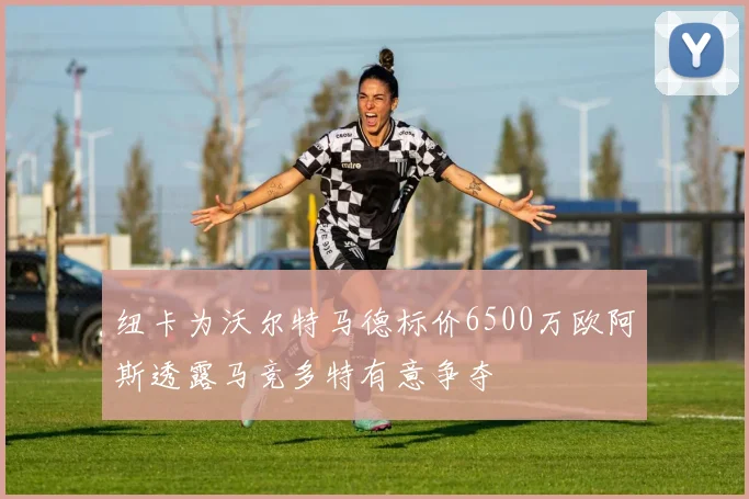 纽卡为沃尔特马德标价6500万欧阿斯透露马竞多特有意争夺